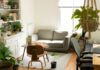 Practical Tips To Keep Your Home Organized